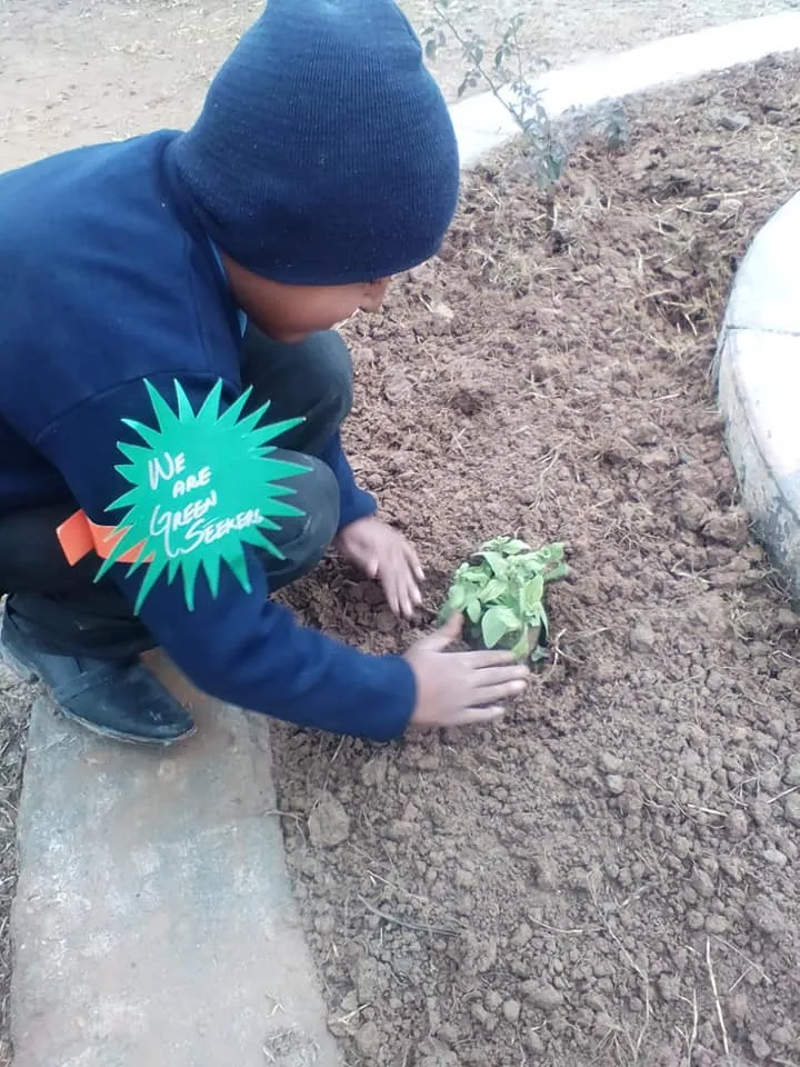 Green Seekers Activity